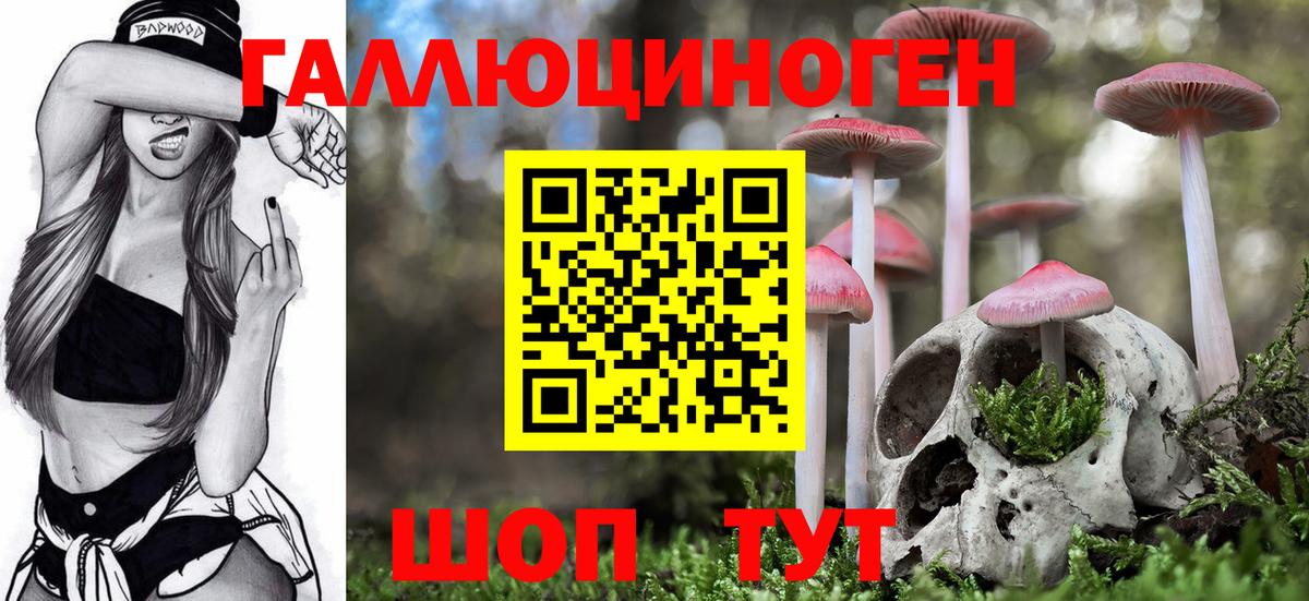 Псилоцибиновые грибы MAGIC MUSHROOMS  Вход с VPN  Зима 