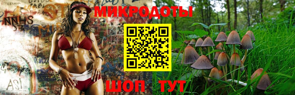 Псилоцибиновые грибы мицелий Зима